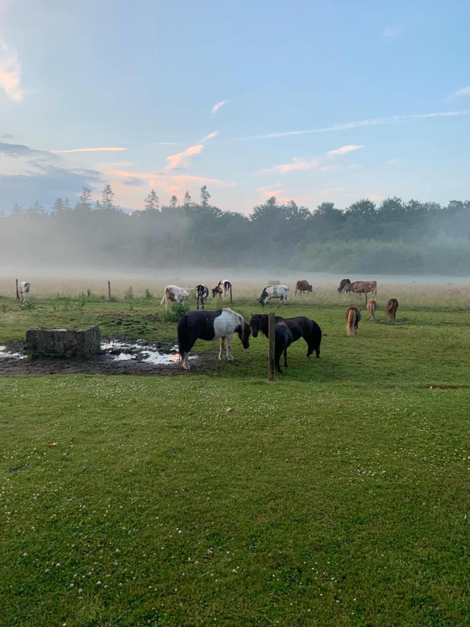 Holmsminde Viborg